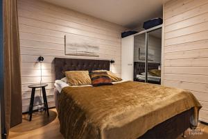 Holiday in Lapland - SointuiLevi3 A59