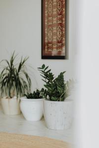 Mimozas Sea View Apartment