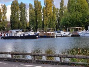 Au gré du tulipier - 2 pièces