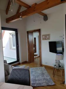 Appartements Au gre du tulipier - 2 pieces : photos des chambres