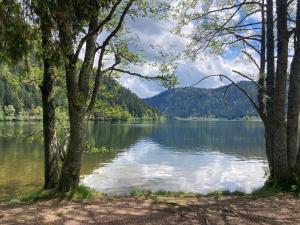 Appartements Le Perchoir du Grand Valtin - Gite 5 personnes - Altitude 830 : photos des chambres