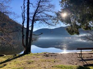 Appartements Le Perchoir du Grand Valtin - Gite 5 personnes - Altitude 830 : photos des chambres