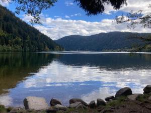 Appartements Le Perchoir du Grand Valtin - Gite 5 personnes - Altitude 830 : photos des chambres