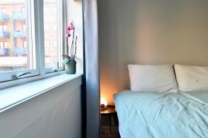 Your Entire Apartment 1 Bedroom Gem