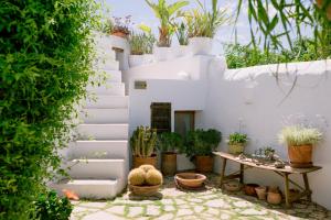 Can Quince Balafia Ibiza Hotel - Turismo de Interior