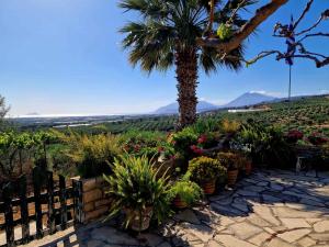 Kithia Vintage House