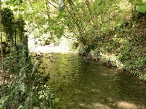 Maison campagne rivière forêt