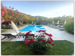 Montenegro Motel - Ubytování bez kategorie ve městě Faralya