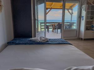 Dolphins View