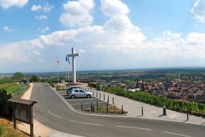Appartements O Ciel d-Obernai : photos des chambres