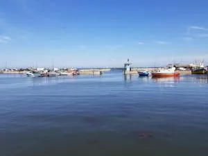 Hortensia - 滨海伊西尼