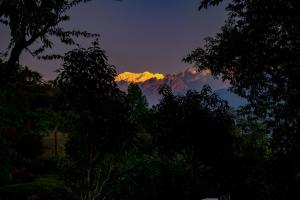 The Temi Bungalow South Sikkim