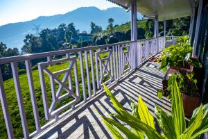 The Temi Bungalow South Sikkim