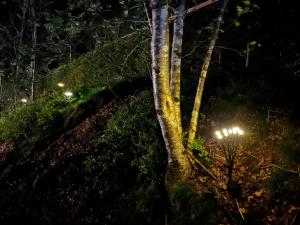 Domaine du Hygge Chalets Lodges & Spa : photos des chambres