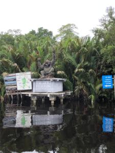Shankara Orangutan Kelotok Cabin Houseboat