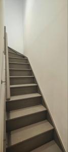 Appartements a theme : photos des chambres