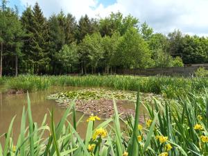 Chalets Chalet de L'etang : photos des chambres
