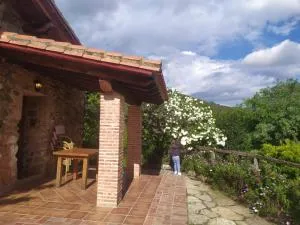 Cuello de Dama - 厄尔拉索