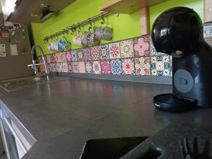 Sejours chez l'habitant Appartement entier Cozy Rdj Parking gratuit, proche tramway, stade OL, ARENA, Eurexpo, Aeroport StExupery, Gare TGV Lyon Partdieu : photos des chambres