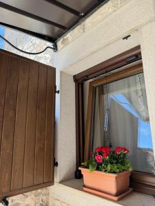 Apartman Ajhner