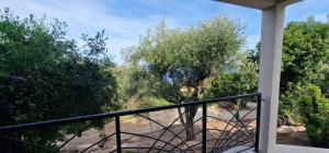 Villas Belvedere de Canaloro : photos des chambres