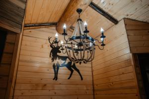 Cabana roua munților din bucovina