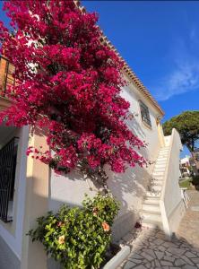 MI COSTA VERA-PLAYA 200m, dos balcones hermosa vista!