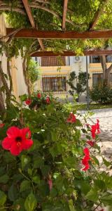 MI COSTA VERA-PLAYA 200m, dos balcones hermosa vista!