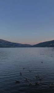 Apartamenty Nad Jeziorem