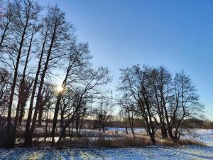 Appartement Weideblick