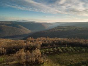 Ferienhaus für 6 Personen ca 800 qm in Barban, Istrien Bucht von Raša