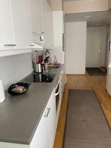 Luxury apartment with sauna, grill and garage