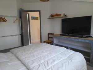 Maisons de vacances Maison spacieuse pres de la mer a Saint-Brevin, 8 pers, jardin, WiFi, jeux, parking, bebe. - FR-1-392-126 : photos des chambres