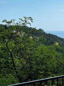 Appartements EZE Roc (Monaco) : photos des chambres