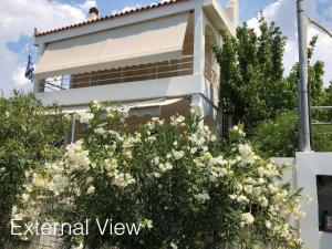 Gnick Apartments 600m from the coast