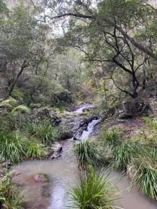 Lanikai Camping Ground - Tooloom