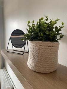 Superbe studio neuf avec Balcon