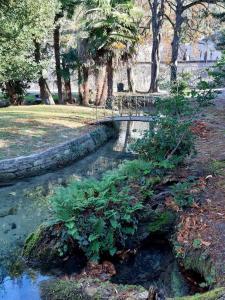 Appartements Appartement Au Murmure des Eaux a Fontaine-de-Vaucluse : photos des chambres