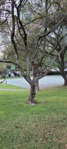 Coliving Cumbaya - Hacienda Sauce