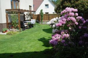 Apartments Near the Sea