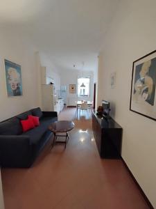 Cartola 30