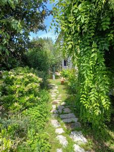 Appartements Appartement independant privatif avec jardin : photos des chambres