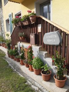 Trnovo ob Soci Kuhala 