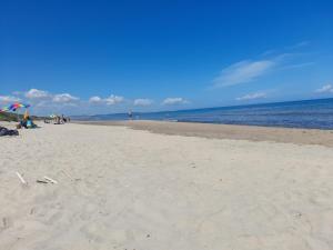 MIRTO E ROSMARINO img46