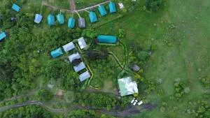 Eco mara forest camp - 巴纳吉