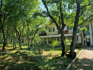 Хижа "Миньор"