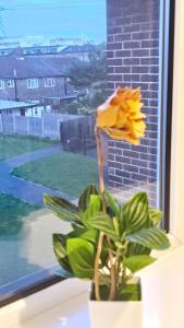 Excel O2 Stunning Large 3 bedroom Apartment with Balcony