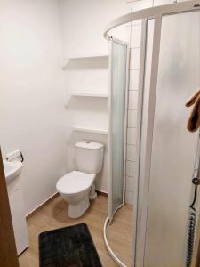 Apartamentai su terasa