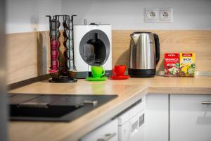 Skackavá - beautiful new apartment in direct centrum, 24h self check-in