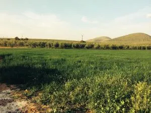 La Casita de Blanca - Alameda